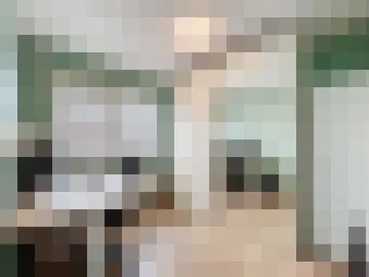 Stadsweide 23 Biervliet thumbnail 17