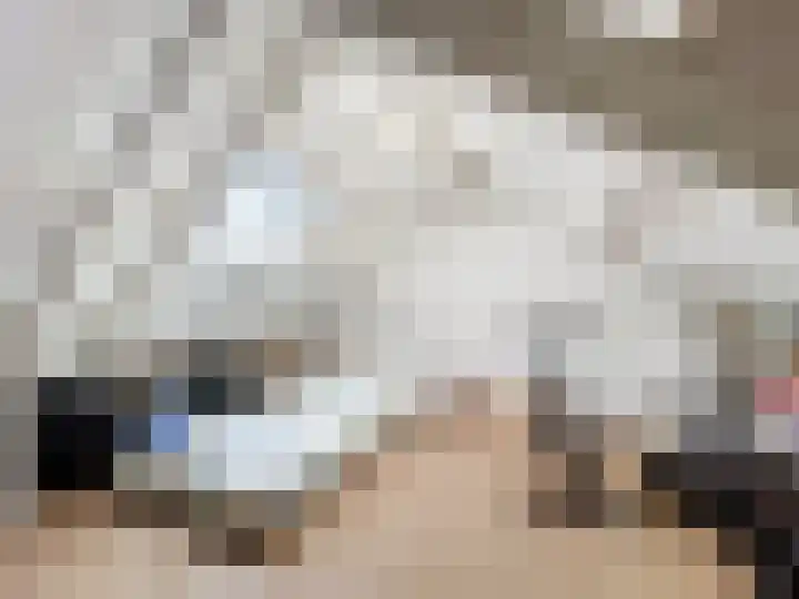 Stadsweide 23 Biervliet thumbnail 20