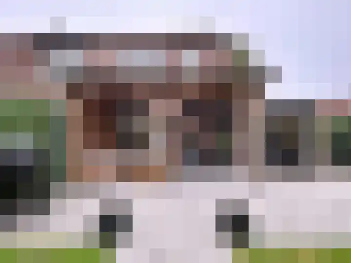 Stadsweide 23 Biervliet thumbnail 22