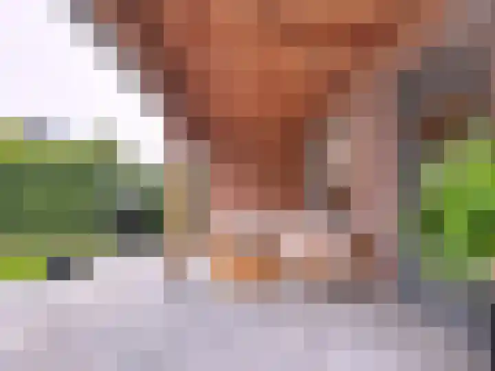 Stadsweide 23 Biervliet thumbnail 23