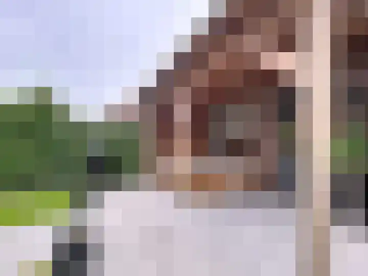 Stadsweide 23 Biervliet thumbnail 24