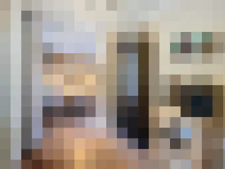 Stadsweide 23 Biervliet thumbnail 7