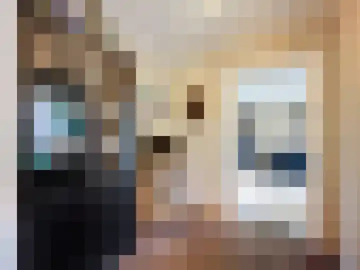 Stadsweide 23 Biervliet thumbnail 8