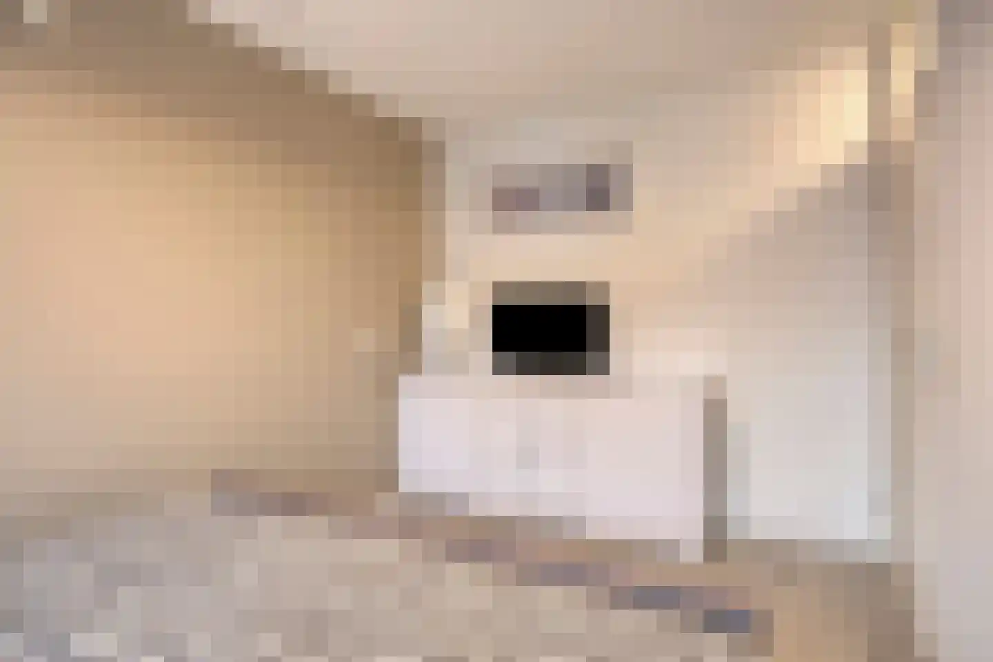 Stadsweide 76 Biervliet thumbnail 14