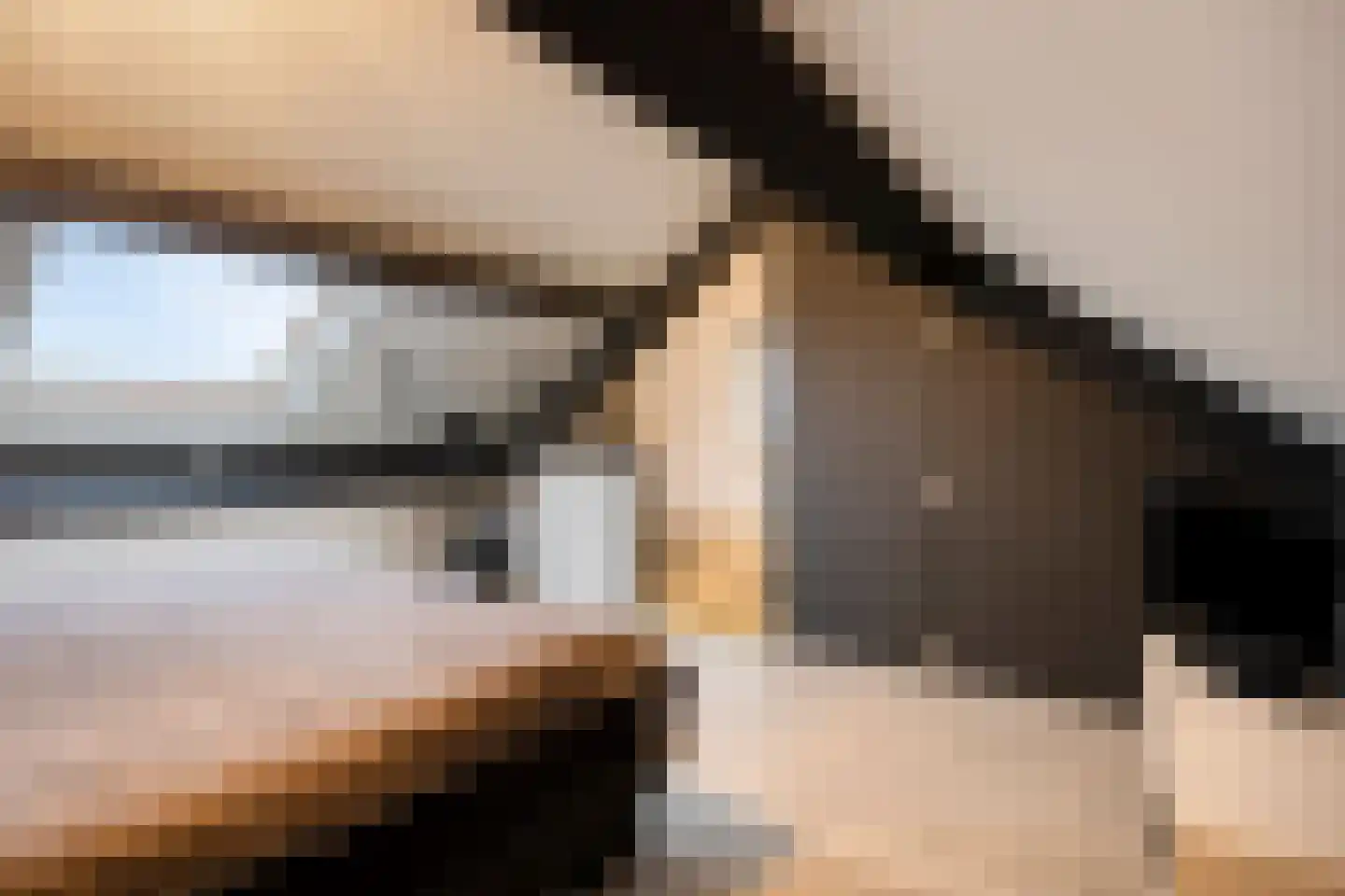 Stadsweide 76 Biervliet thumbnail 22