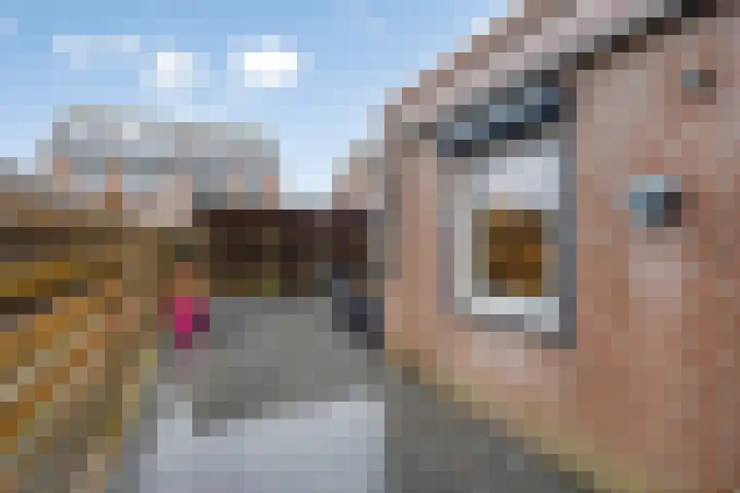Stadsweide 76 Biervliet thumbnail 23