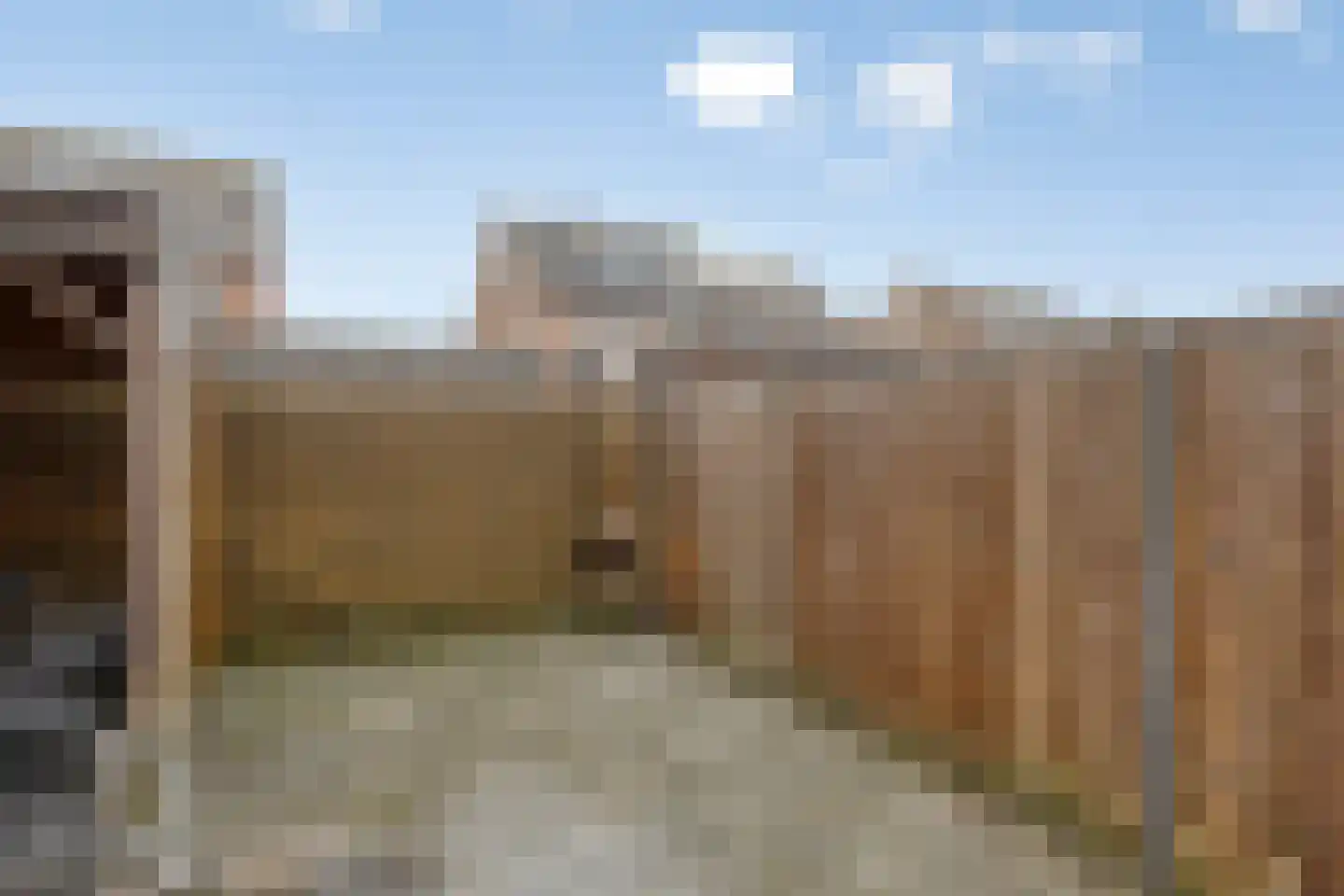 Stadsweide 76 Biervliet thumbnail 27