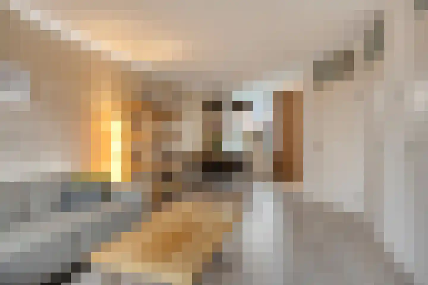 Stadsweide 76 Biervliet thumbnail 6