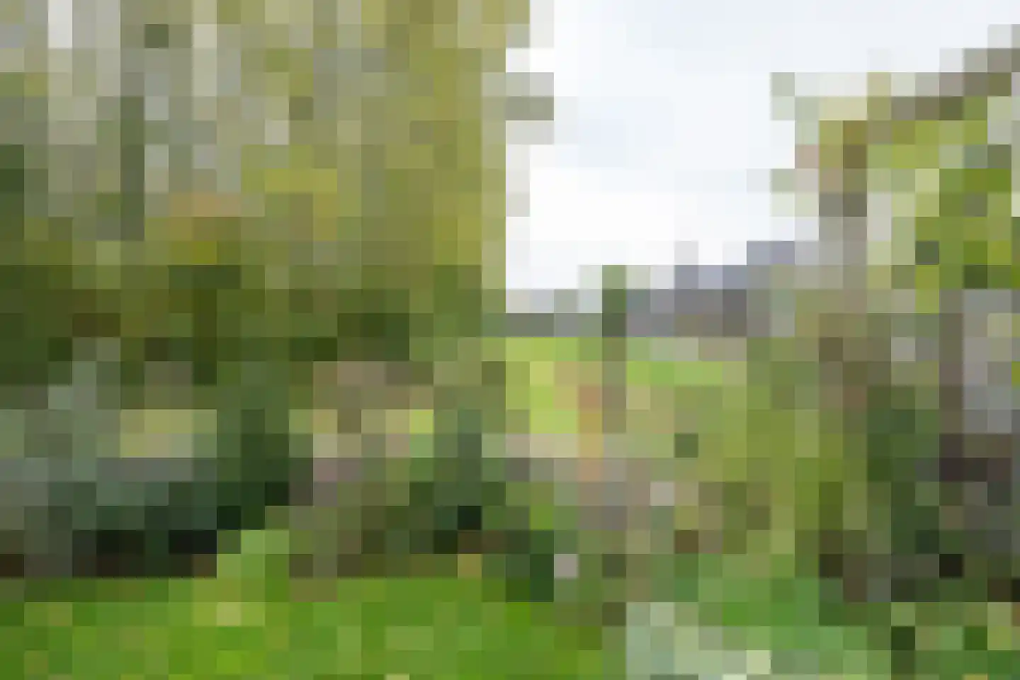 Stadthof 1 Stad aan 't Haringvliet thumbnail 6