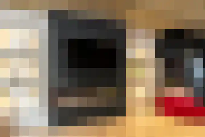 Stadthof 3 Stad aan 't Haringvliet thumbnail 10