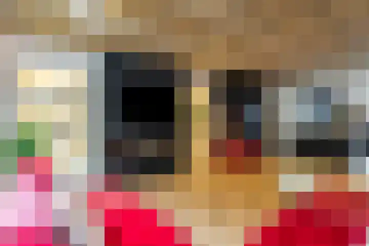 Stadthof 3 Stad aan 't Haringvliet thumbnail 12