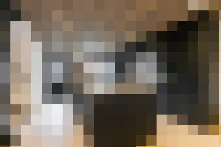 Stadthof 3 Stad aan 't Haringvliet thumbnail 13