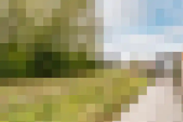 Stadthof 3 Stad aan 't Haringvliet thumbnail 29