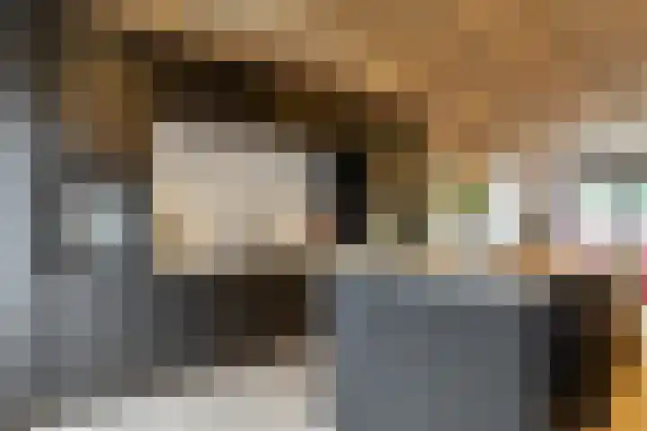 Stadthof 3 Stad aan 't Haringvliet thumbnail 6