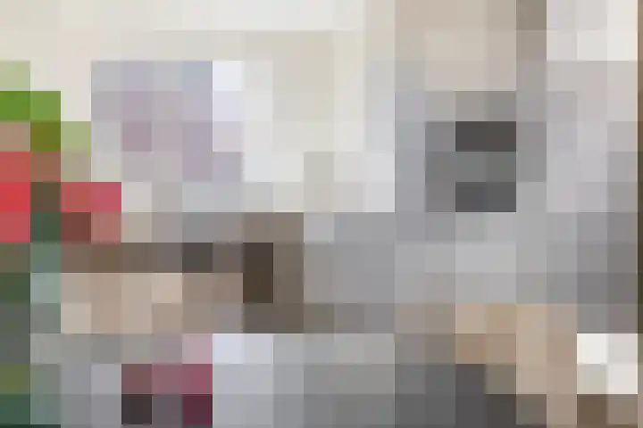 Stadthof 7 Stad aan 't Haringvliet thumbnail 10