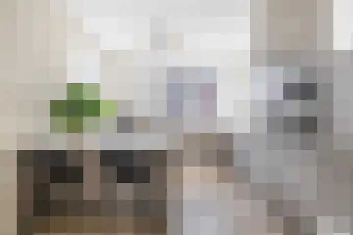 Stadthof 7 Stad aan 't Haringvliet thumbnail 11