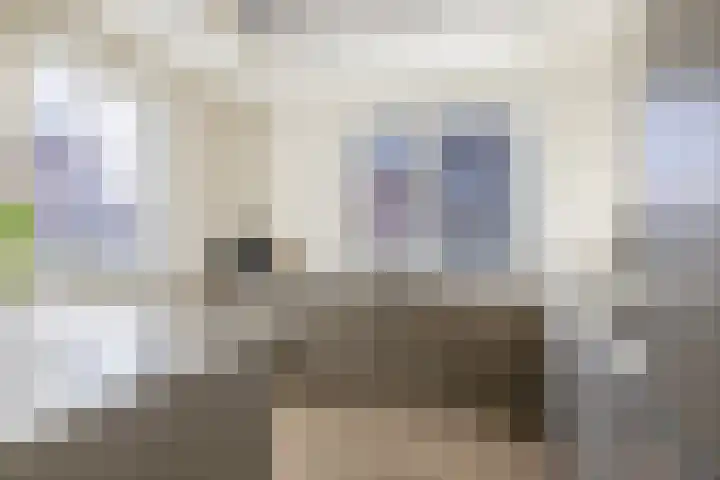 Stadthof 7 Stad aan 't Haringvliet thumbnail 12