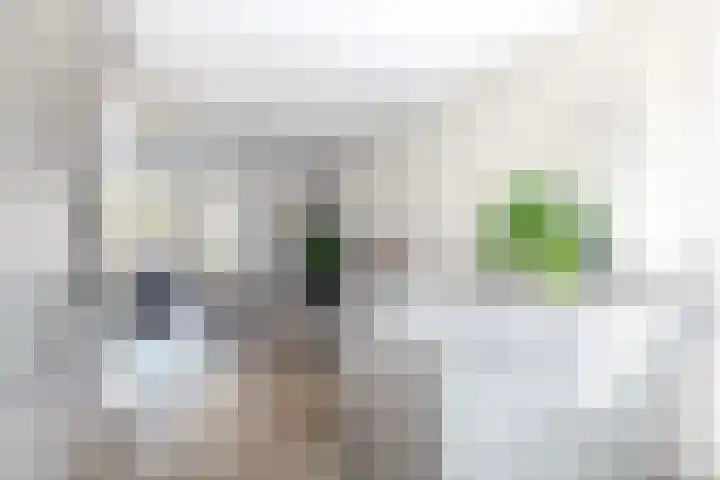 Stadthof 7 Stad aan 't Haringvliet thumbnail 13