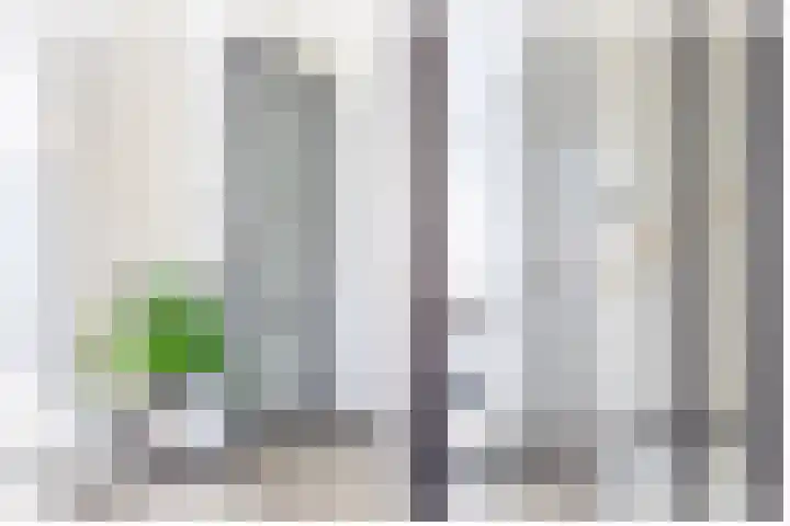 Stadthof 7 Stad aan 't Haringvliet thumbnail 14