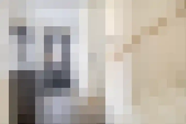 Stadthof 7 Stad aan 't Haringvliet thumbnail 15