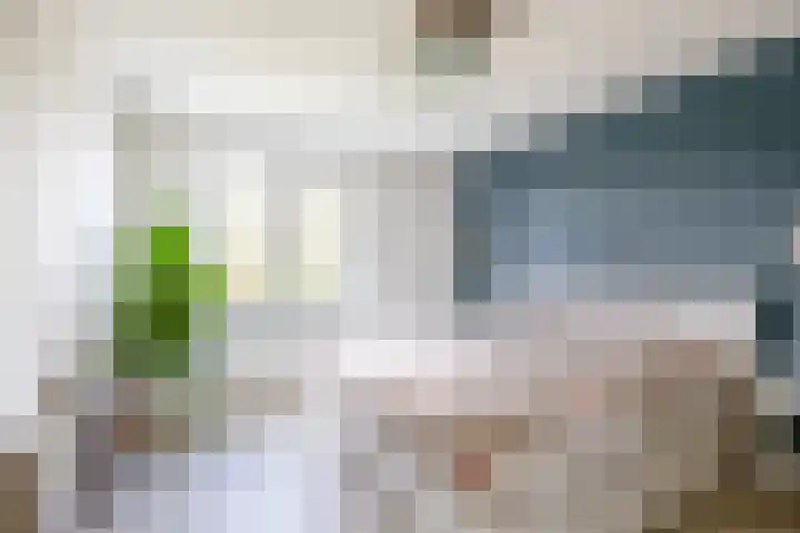 Stadthof 7 Stad aan 't Haringvliet thumbnail 16