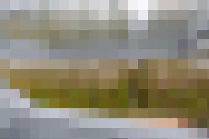 Stadthof 7 Stad aan 't Haringvliet thumbnail 26