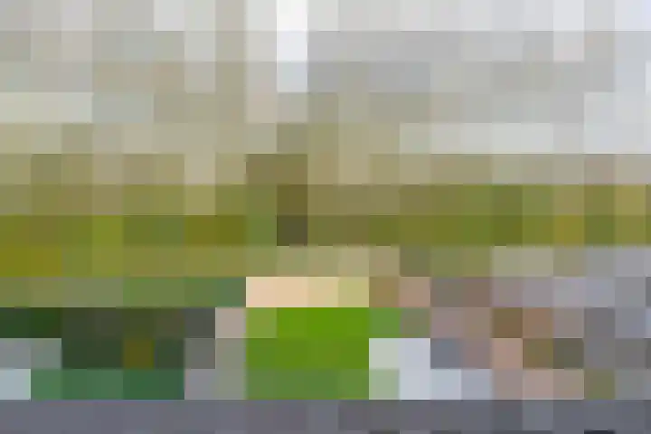 Stadthof 7 Stad aan 't Haringvliet thumbnail 27