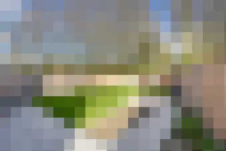 Stadthof 7 Stad aan 't Haringvliet thumbnail 29