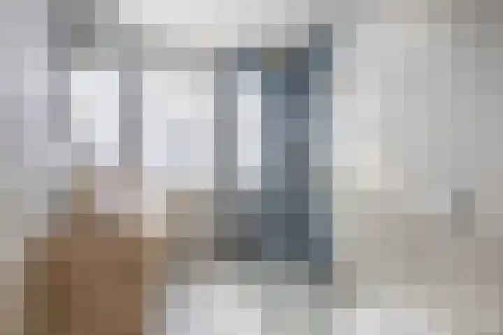 Stadthof 7 Stad aan 't Haringvliet thumbnail 4