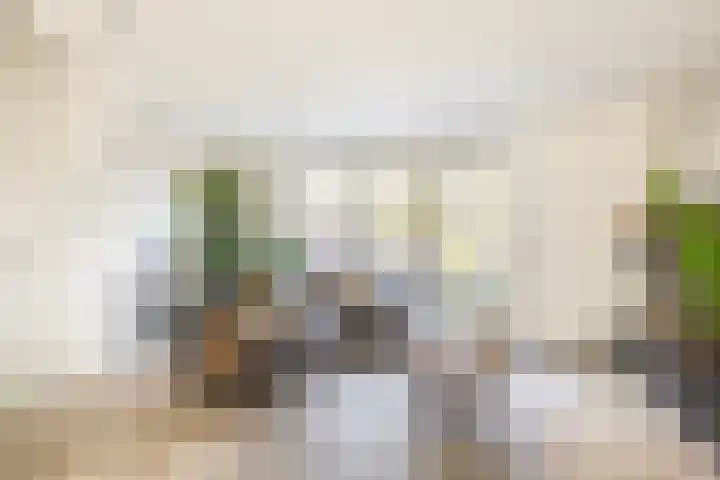 Stadthof 7 Stad aan 't Haringvliet thumbnail 8