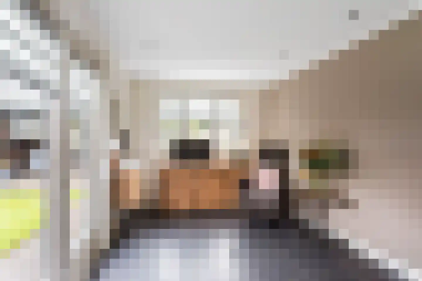 Stadtlohnallee 14 Weerselo thumbnail 12