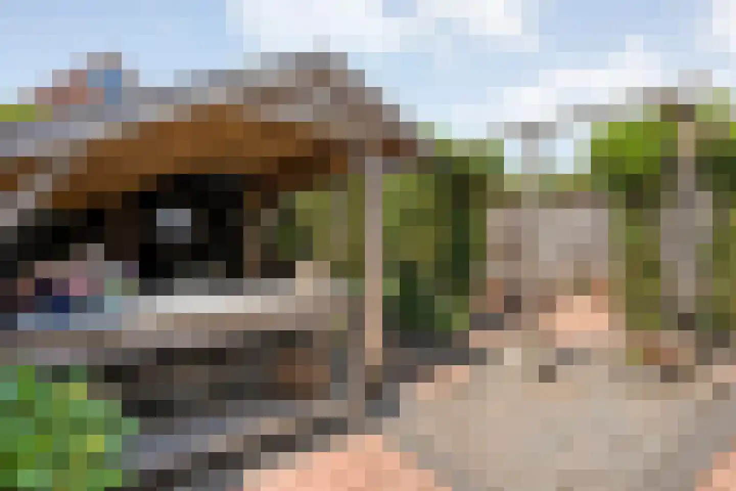 Stadtlohnallee 31 Weerselo thumbnail 30