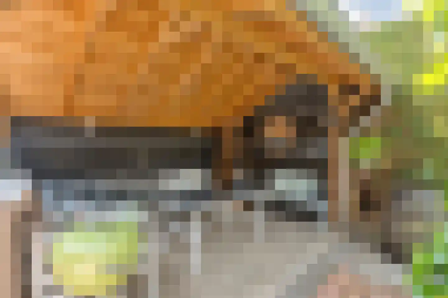 Stadtlohnallee 31 Weerselo thumbnail 31