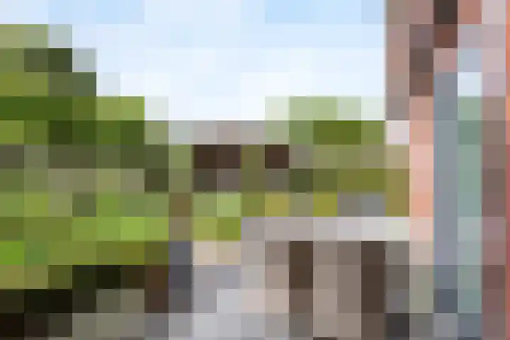Stadtlohnallee 39 Weerselo thumbnail 19