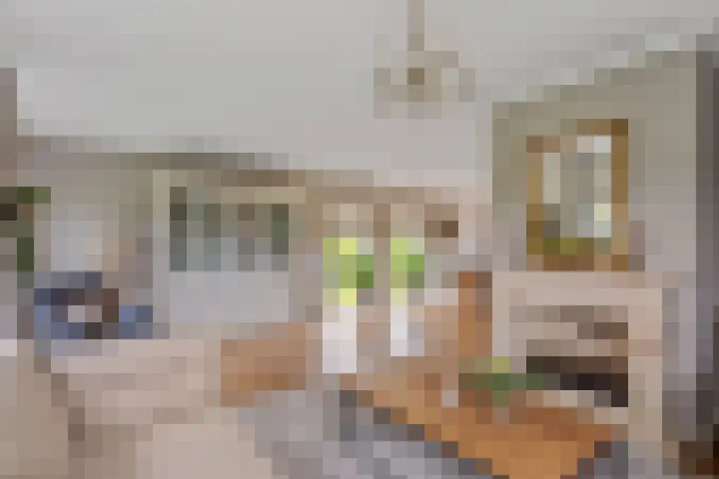 Stadtlohnallee 39 Weerselo thumbnail 8