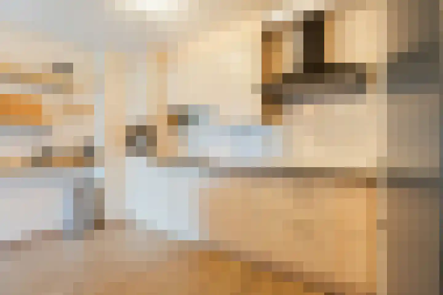 Stadzicht 110 Leiden thumbnail 18