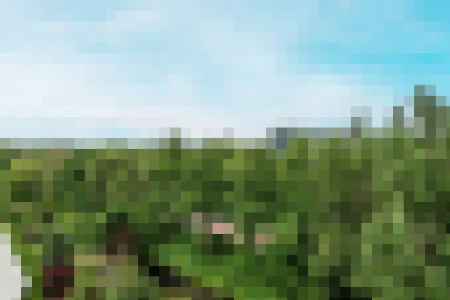Stadzicht 110 Leiden thumbnail 29