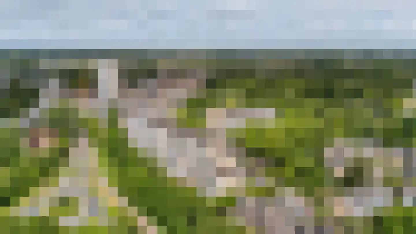 Stadzicht 110 Leiden thumbnail 34