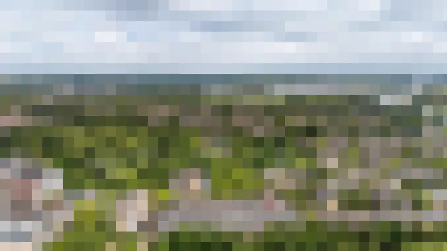 Stadzicht 110 Leiden thumbnail 36