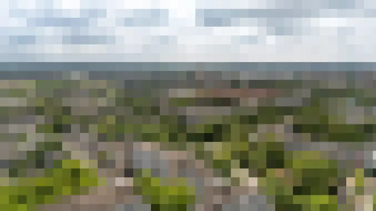 Stadzicht 110 Leiden thumbnail 4