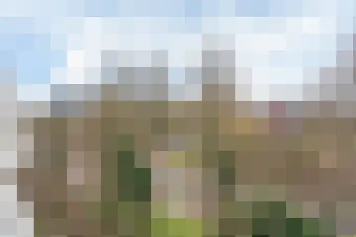 Stadzicht 43 Leiden thumbnail 30