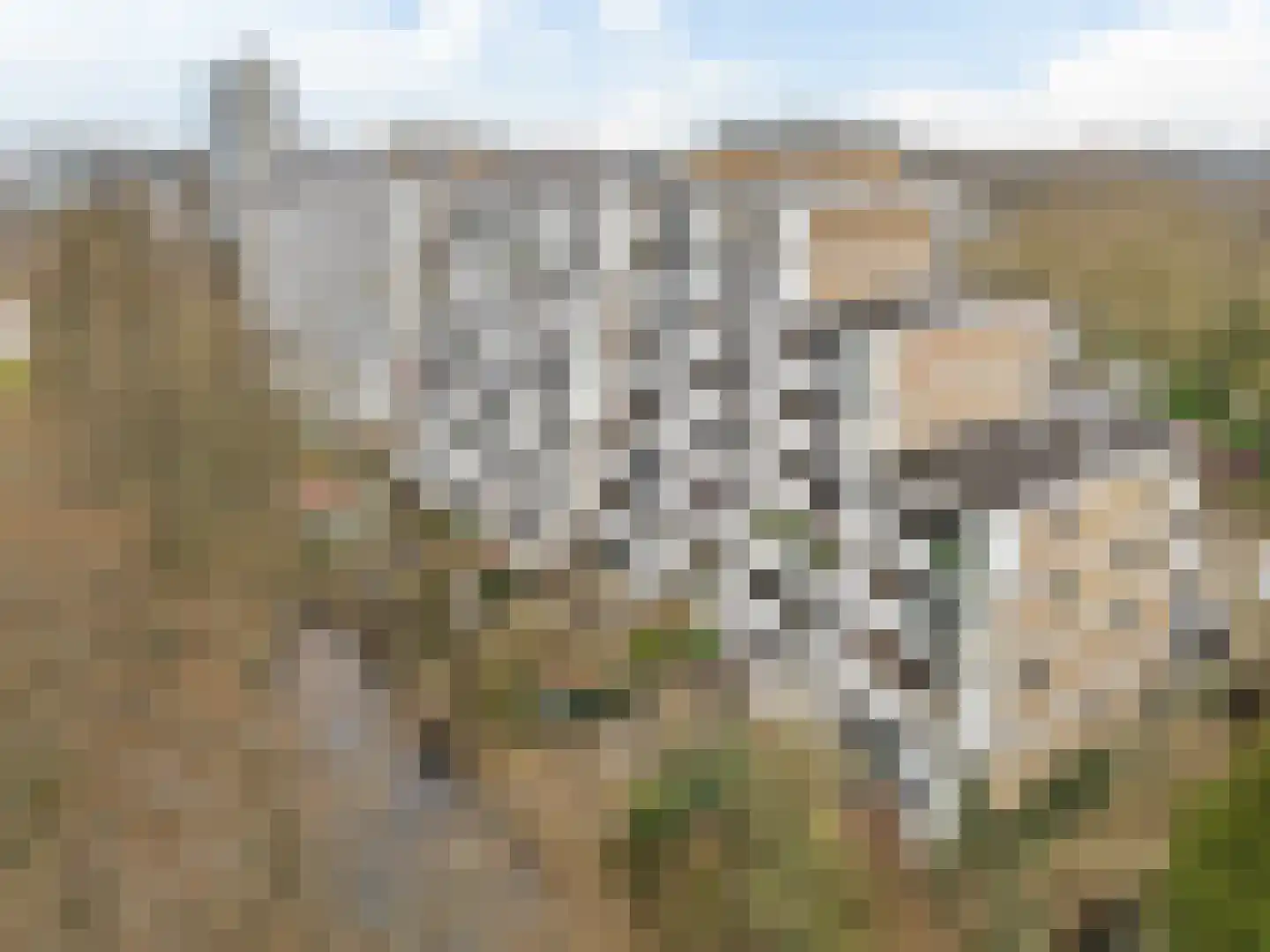 Stadzicht 43 Leiden thumbnail 35