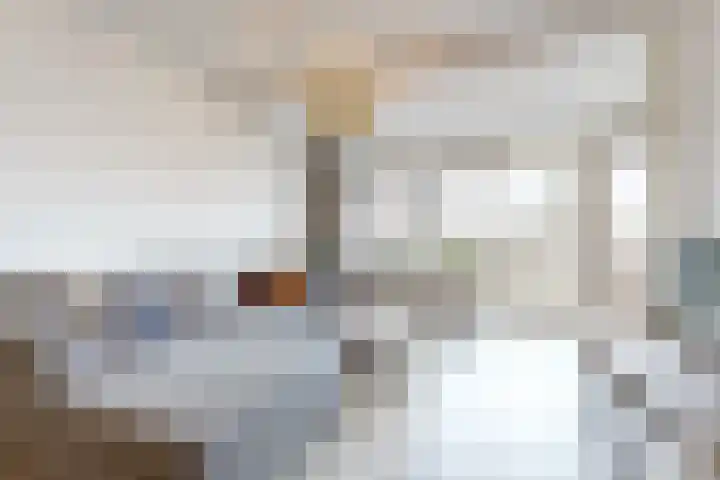Stadzicht 43 Leiden thumbnail 4