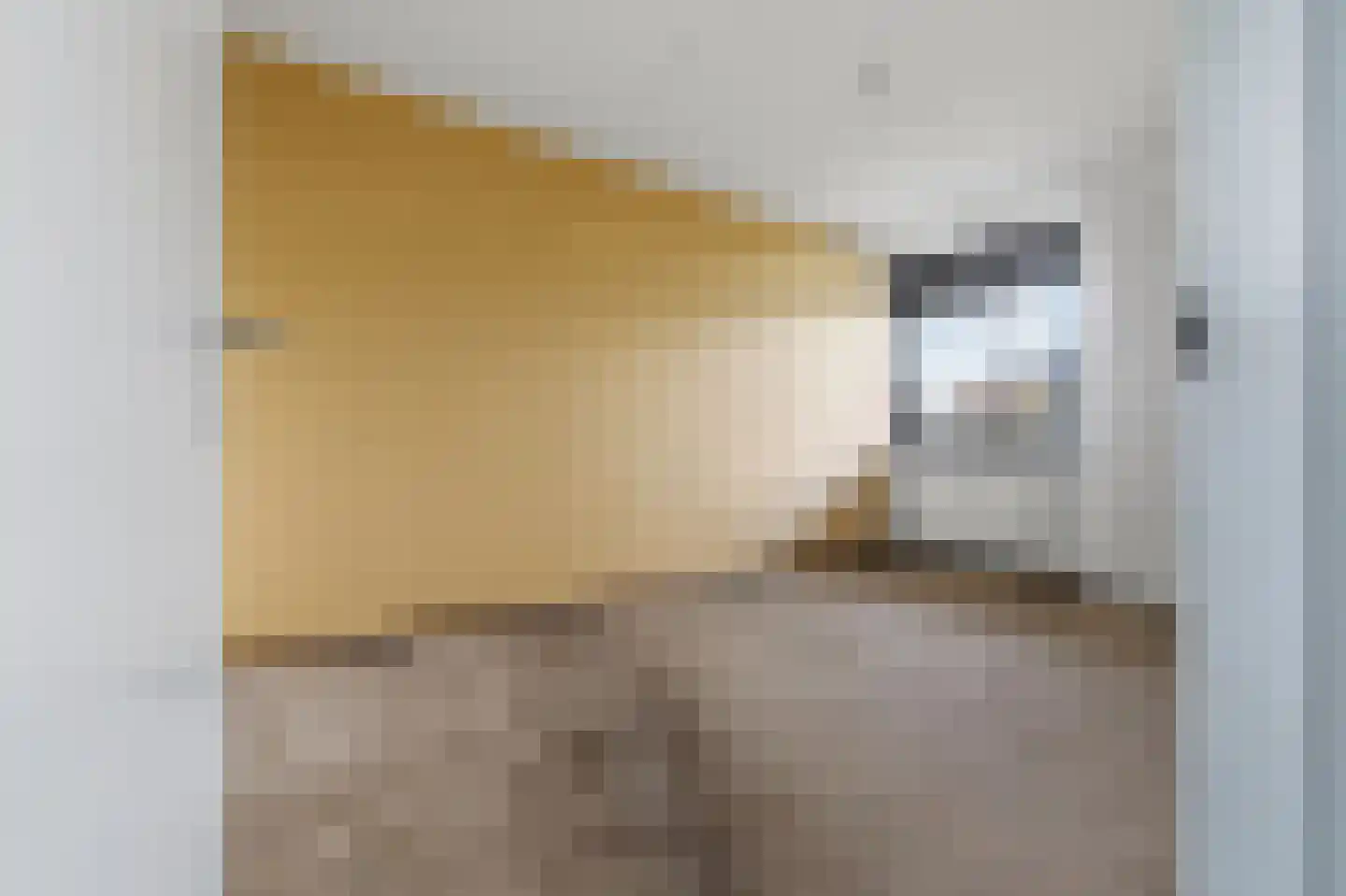 Stadzicht 45 Leiden thumbnail 35