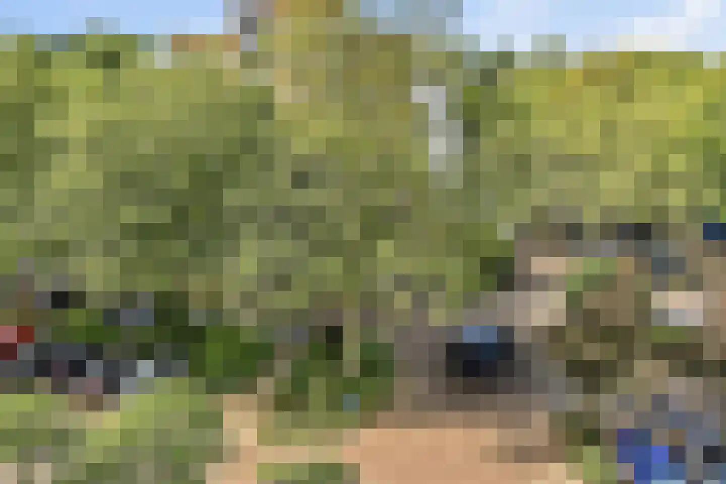 Stadzicht 45 Leiden thumbnail 45