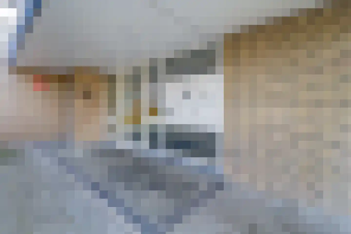 Stadzicht 45 Leiden thumbnail 5