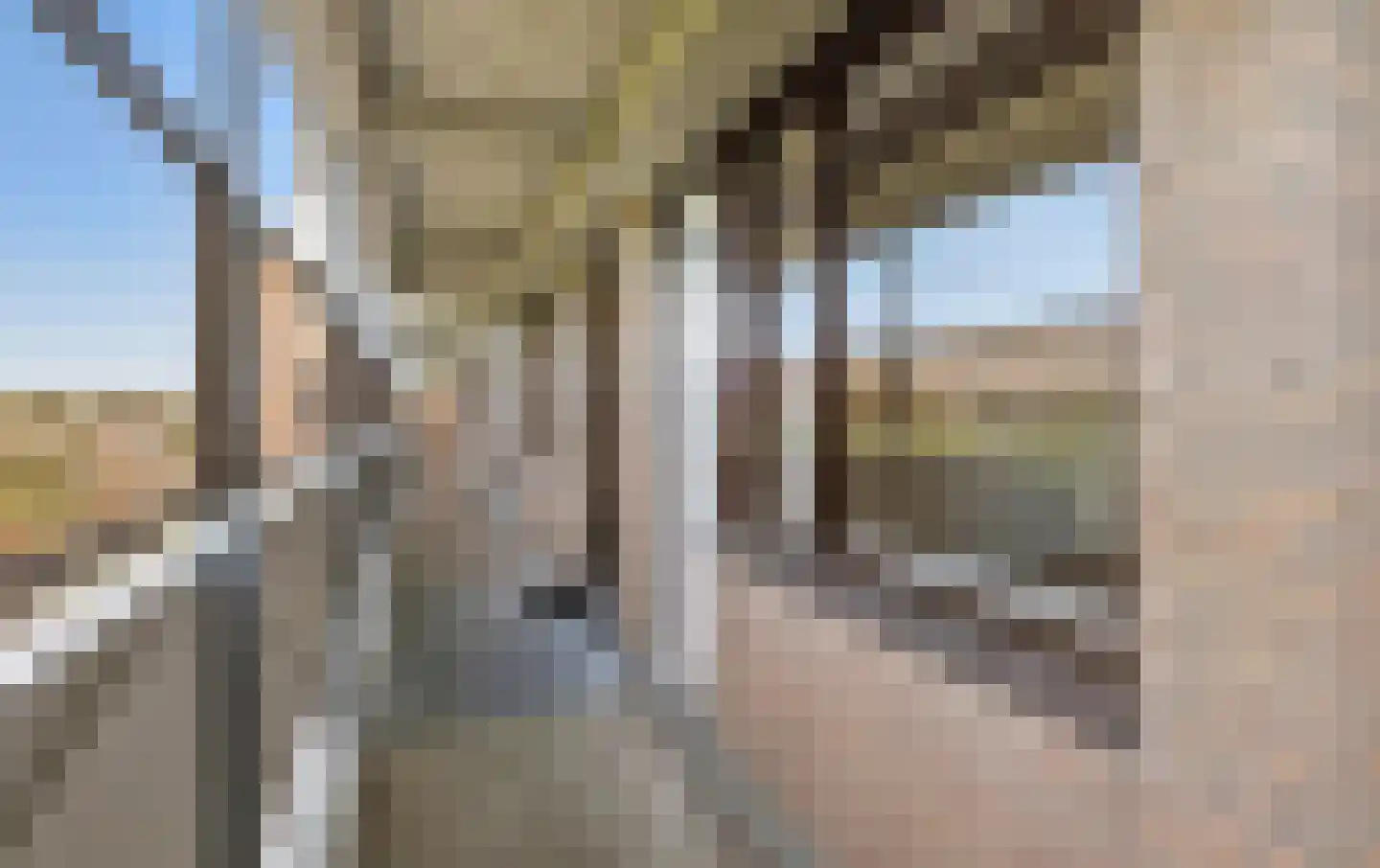 Stadzicht 45 Leiden thumbnail 6