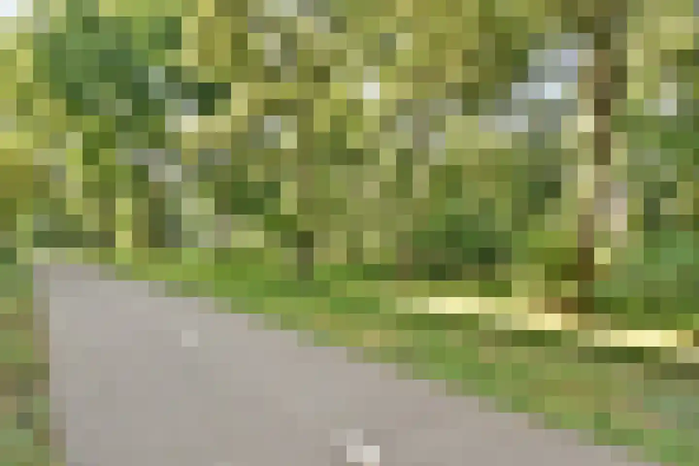 Stadzicht 50 Leiden thumbnail 25