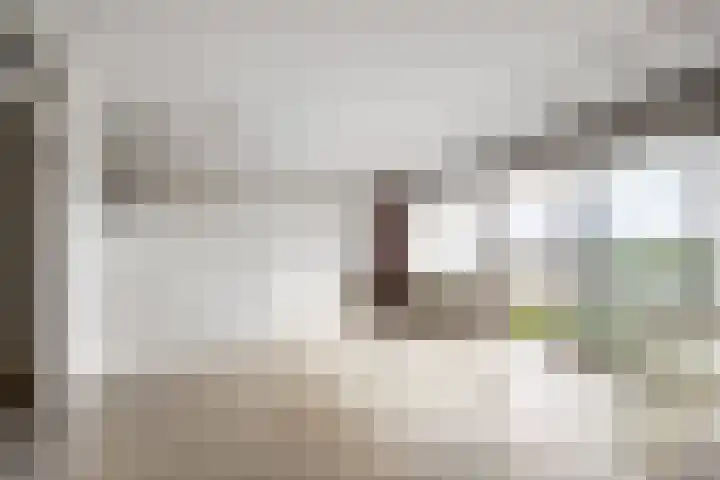 Stadzicht 60 Leiden thumbnail 7