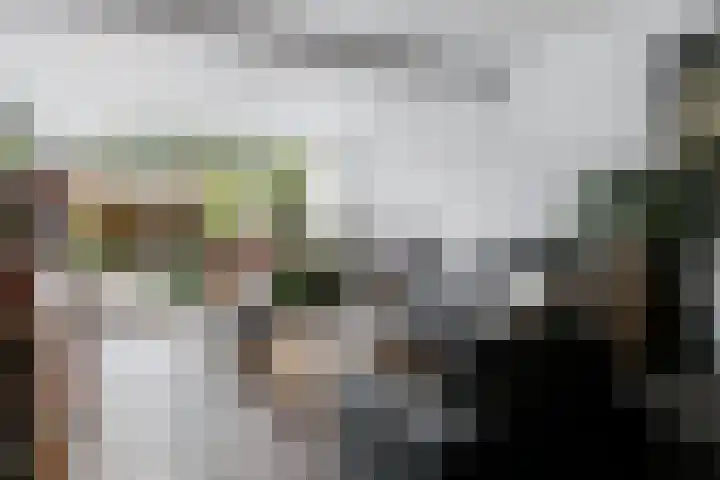 Stadzicht 61 Leiden thumbnail 4